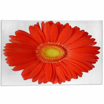 Flower Area Rug