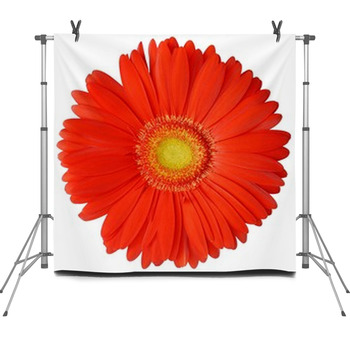Flower Fleece Backdrop
