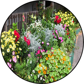 Flower Garden Round Rug