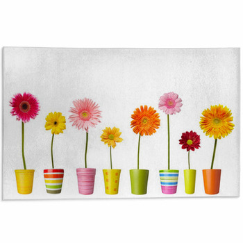 Flower Nature Garden Botany Daisy Bloom Pot Area Rug