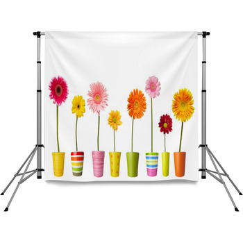 Flower Nature Garden Botany Daisy Pole Pocket Backdrop