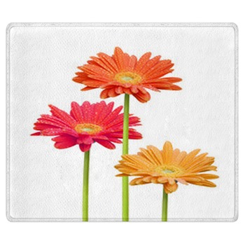 Flower Rugs