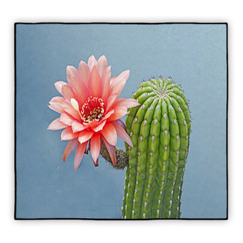 Cactus Area Rugs & Custom Size Floor Mats