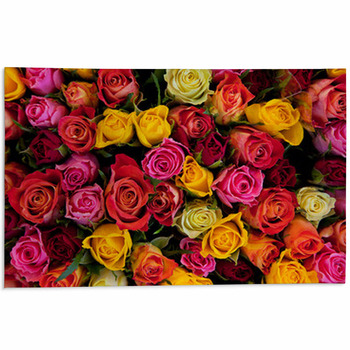 Flowers. Colorful Roses Background Area Rug