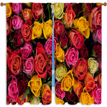 Flowers. Colorful Roses Custom Size Window Curtain