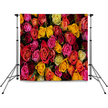 Flowers. Colorful Roses Background Pole Pocket Backdrop