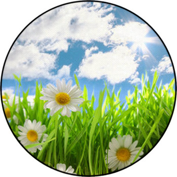 Flowers With Grassy Field On Blue Sky And Round Rug