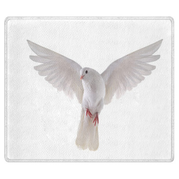 Flying Dove Area Rug