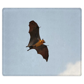 Flying Fox Bath Mat
