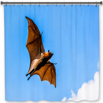 Flying Fox On Blue Sky Custom Size Shower Curtain
