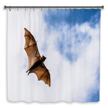 Flying Fox On Blue Sky Shower Curtain