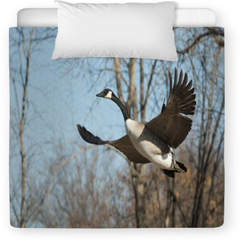 Flying Goose Toddler Comforter