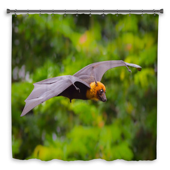 Flying Male Lyle's Flying Fox (Pteropus Shower Curtain
