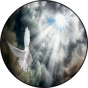 Flying White Dove In Front Of Stormy Sky Round Rug