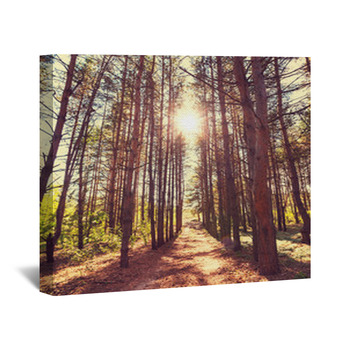 Tree Wall Decor in Canvas, Murals, Tapestries, Posters & More