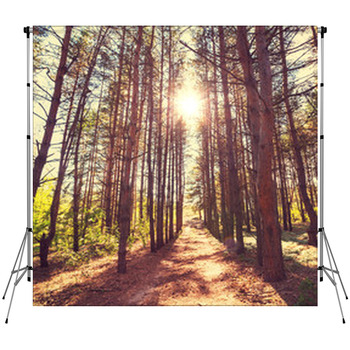 Forest Fleece Backdrop