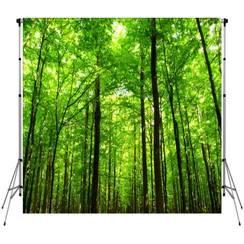  Forest Fleece Backdrop
