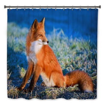 Fox Bath Decor