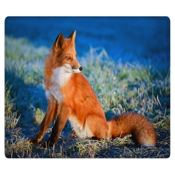 Fox Rugs