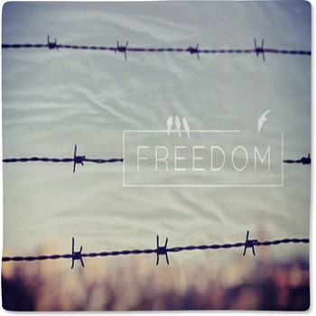 Freedom Quote Concept Barbed Wire Background Baby Blanket