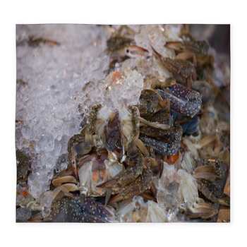 Fresh Blue Crab Or Horse Crab On Custom Size Floor Mat