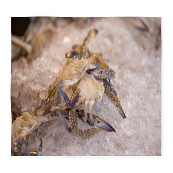 Fresh Blue Crab Or Horse Crab On Custom Size Floor Mat