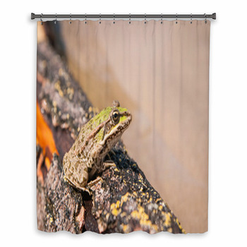 Frog And A Log Ahtuba Russia Custom Size Shower Curtain
