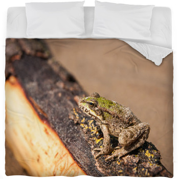 Frog And A Log Ahtuba Russia Fleece Bed Blanket