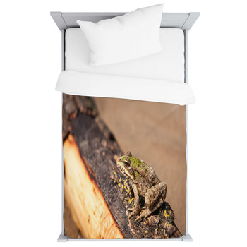 Frog And A Log Ahtuba Russia Toddler Duvet