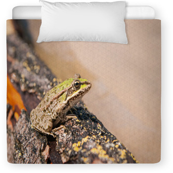 Frog And A Log Ahtuba Russia Toddler Duvet