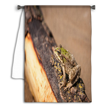 Frog And A Log Ahtuba Russia Towel