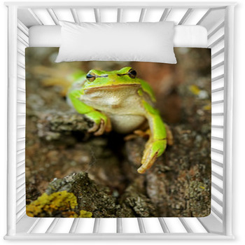 Frog Baby Crib Comforter