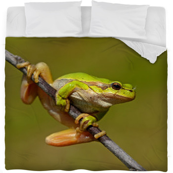 Frog Fleece Bed Blanket
