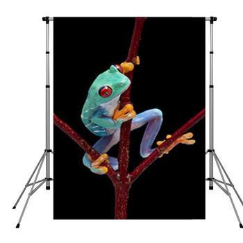 Frog Looking Around Red Vine Pole Pocket Backdrop
