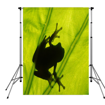 Frog On The Leaf Pole Pocket Backdrop