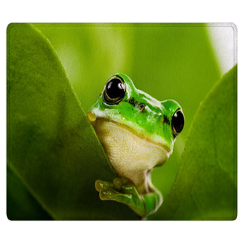 Frog Peeking Out Bath Mat