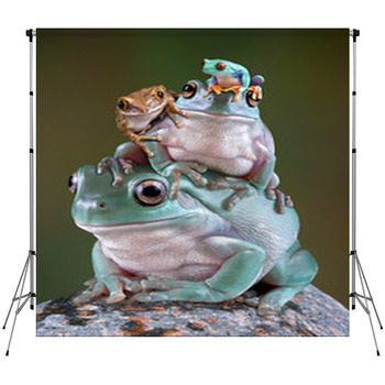 Frog Pile Fleece Backdrop