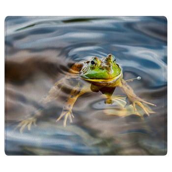 Frog Portrait While Looking At You Bath Mat