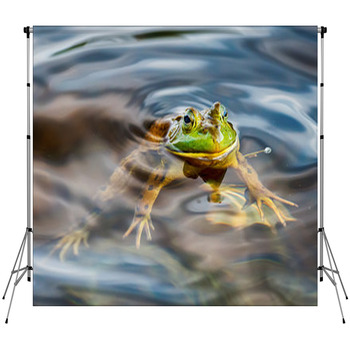 Frog Portrait While Looking At You Fleece Backdrop