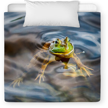 Frog Portrait While Looking At You Toddler Comforter