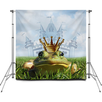 Frog Prince Castle Concept Custom Size Backdrop