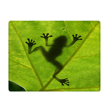 Frog Shadow On The Leaf Bath Mat