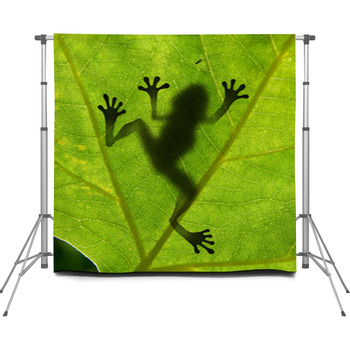 Frog Shadow On The Leaf Custom Size Backdrop