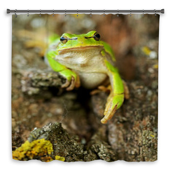 Frog Shower Curtain