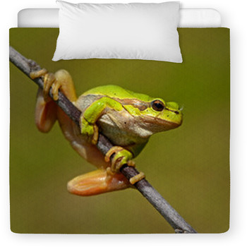 Frog Toddler Comforter