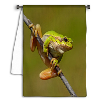 Frog Towel