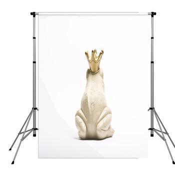 Frosch Pole Pocket Backdrop