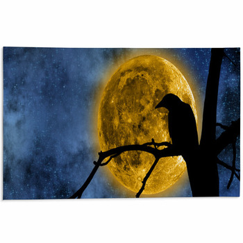 Full Moon Behind The Tree And A Raven On It. Area Rug