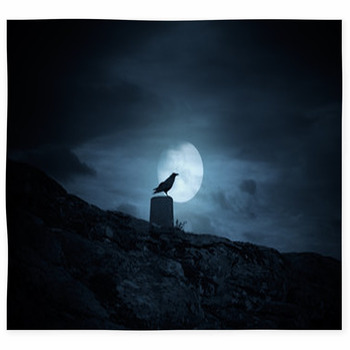 Full Moon Crow Custom Size Floor Mat