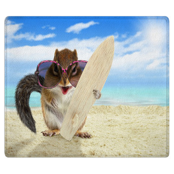 Funny Animal Squirrel With Sunglasses And Area Rug